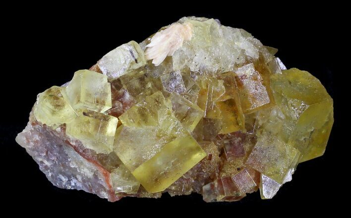 Lustrous, Yellow Cubic Fluorite Crystals - Morocco #32306